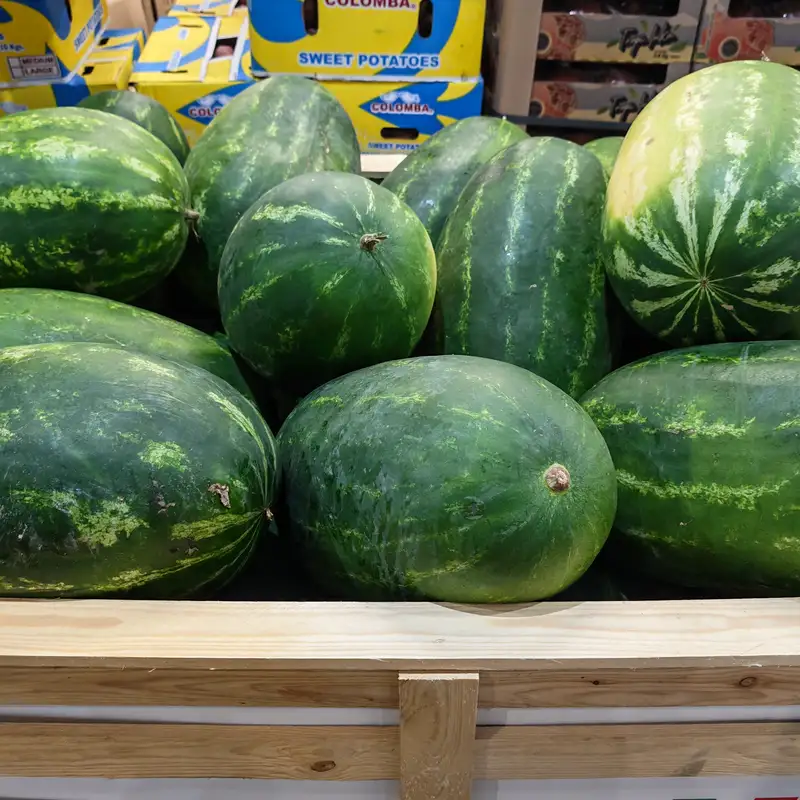 Fresh Watermelon, 1x10kg