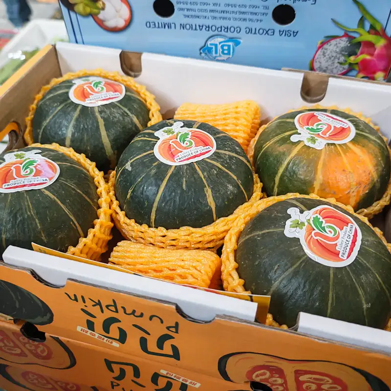 Chinese Mini Pumpkin 1x5